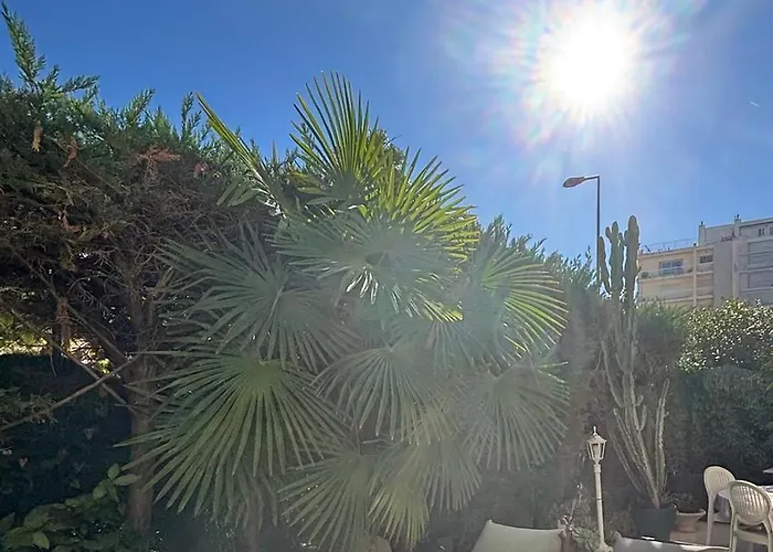 Lumineux Centre Avec Jardin Apartman