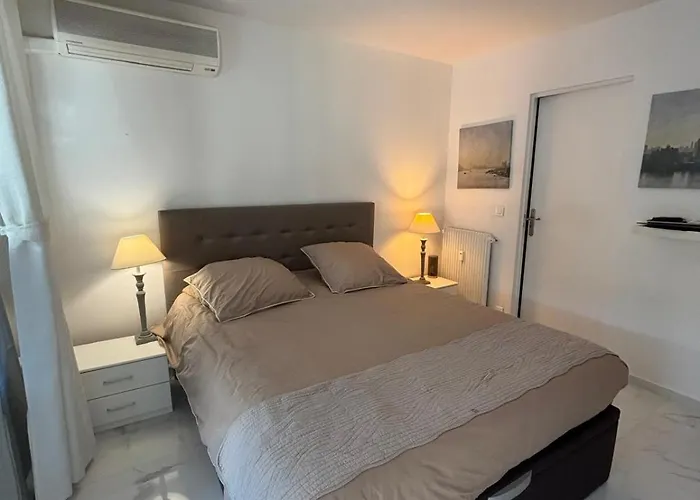 Lumineux Centre Avec Jardin Apartman Cannes